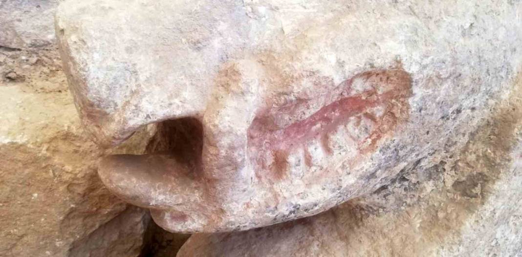 Göbelitepe'de heyecanlandıran keşif: Dünyanın en eskisi ilk kez ülkemizde bulundu! Tarih öncesi sanatın en etkileyici örneği 20